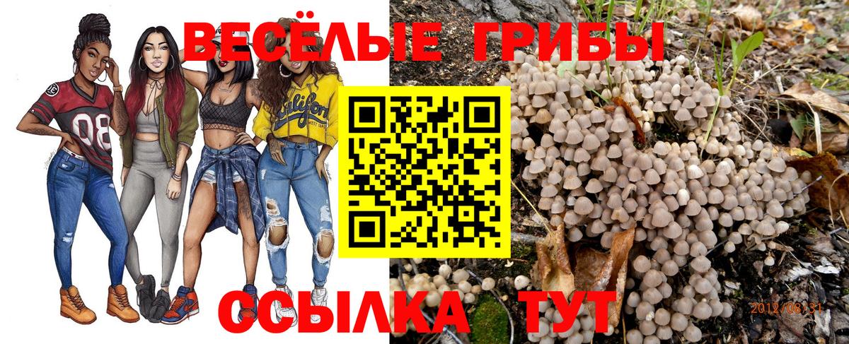 Джанкой  Псилоцибиновые грибы прущие грибы  Псилоцибиновые грибы Psilocybine cubensis  Вход с VPN 